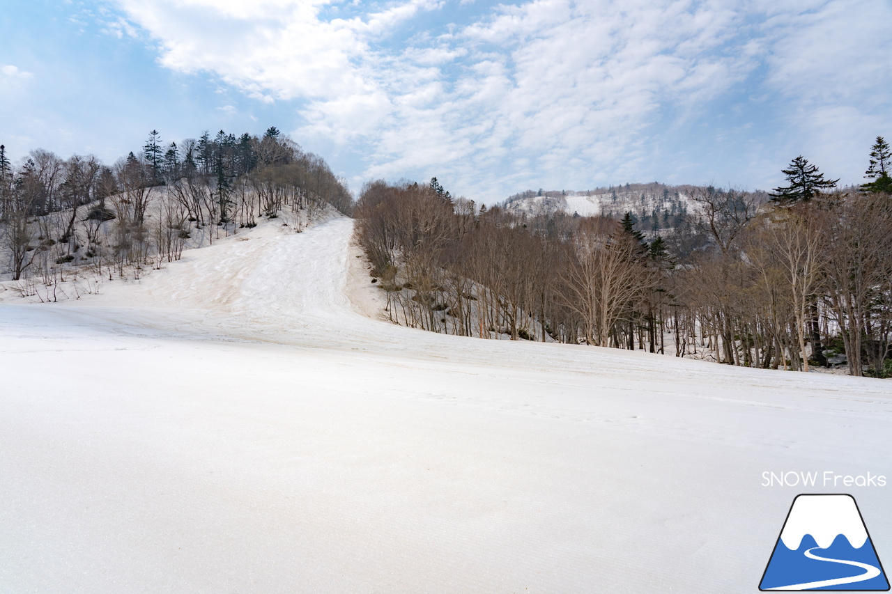 札幌国際スキー場｜2023・ゴールデンウィークがスタート！心配された雪ですが…。大丈夫、ちゃんと残ってくれました(^_-)-☆